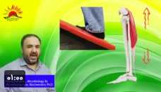 کشش عضلات ساق پا