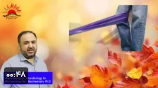 تمرین زانو – کمک به راحت تر از پله بالا رفتن